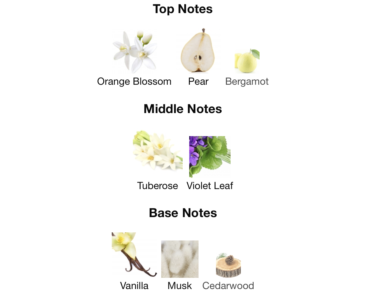 Rue Broca Carino White EDP 100ml 